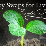 product swaps for a toxic free home